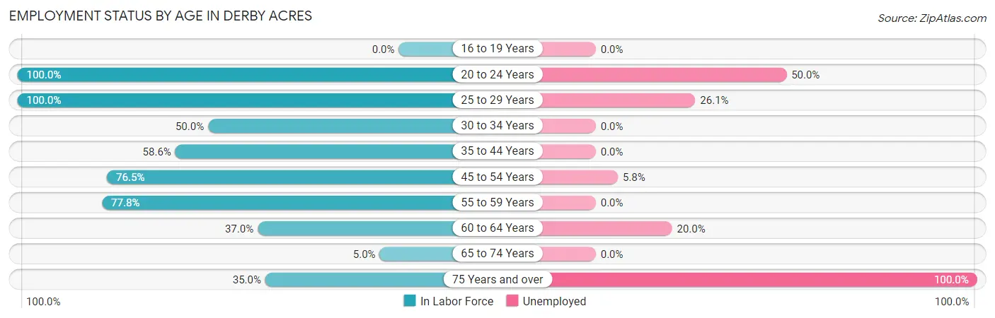 Employment Status by Age in Derby Acres
