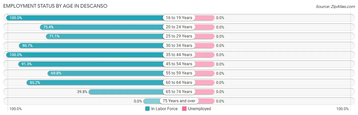 Employment Status by Age in Descanso