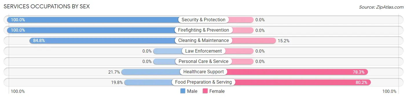 Services Occupations by Sex in Desert View Highlands