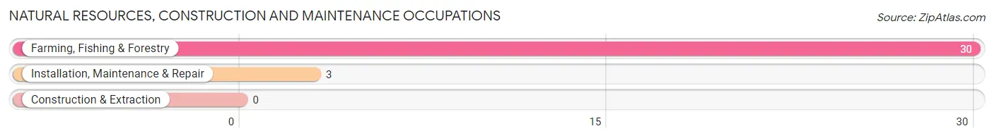 Natural Resources, Construction and Maintenance Occupations in Di Giorgio