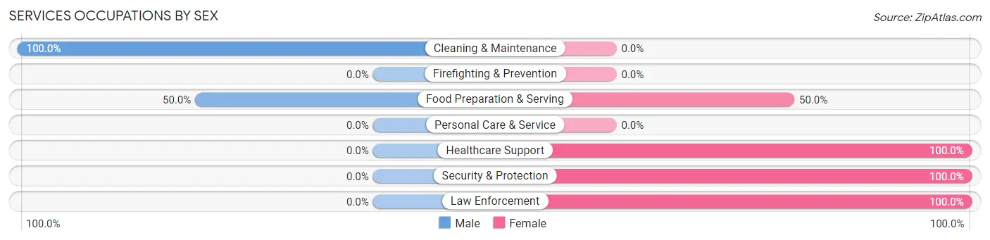 Services Occupations by Sex in Di Giorgio