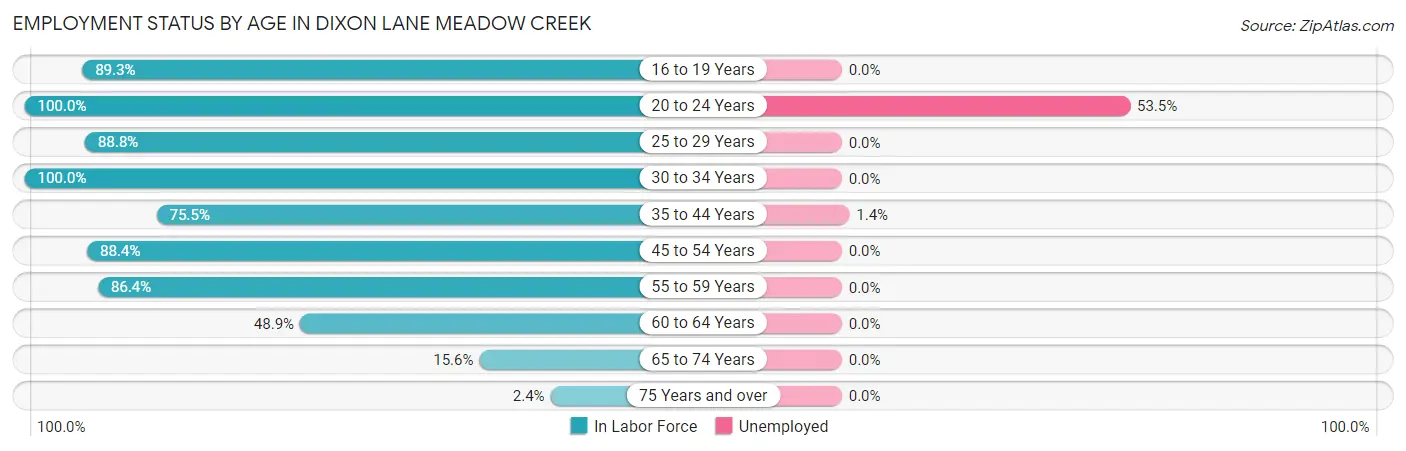 Employment Status by Age in Dixon Lane Meadow Creek