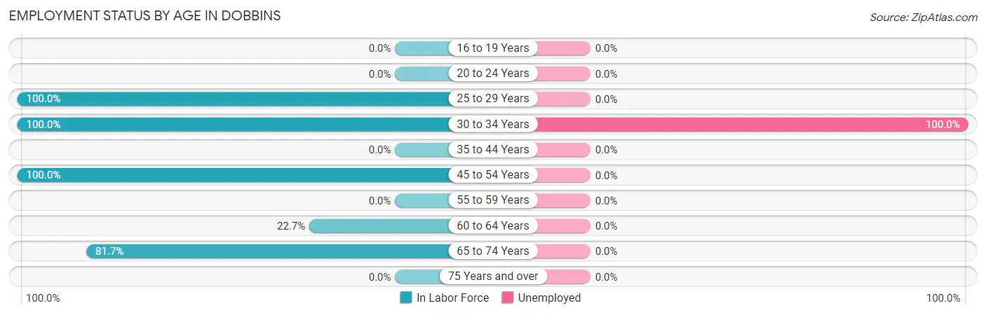 Employment Status by Age in Dobbins
