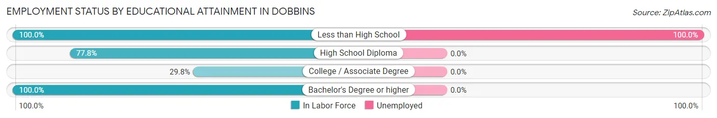 Employment Status by Educational Attainment in Dobbins