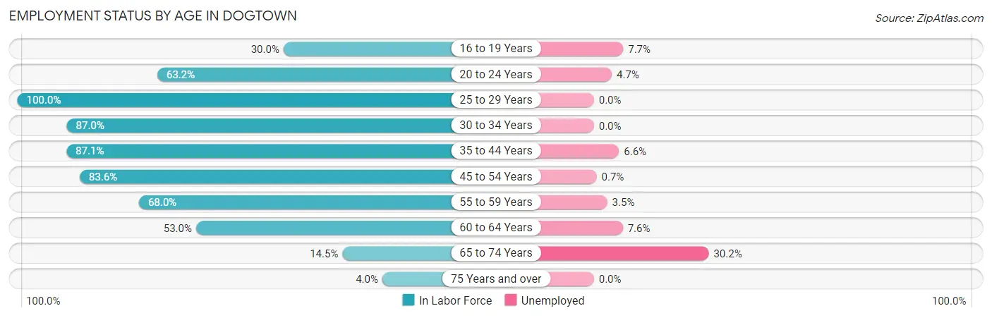 Employment Status by Age in Dogtown
