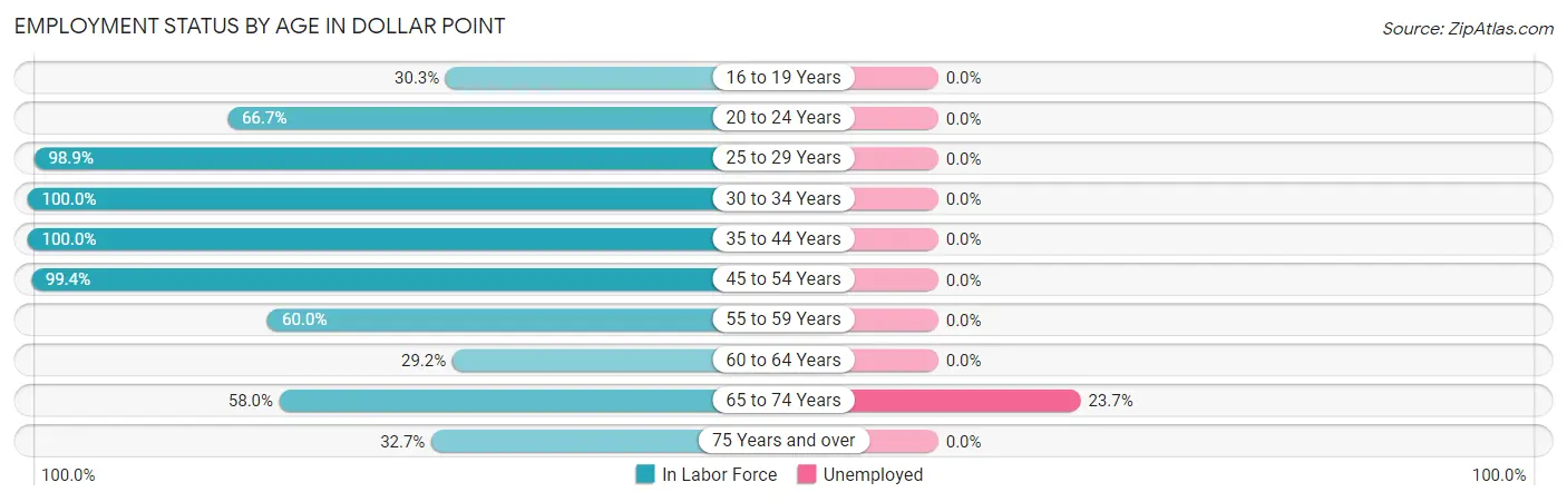 Employment Status by Age in Dollar Point