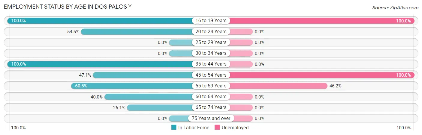 Employment Status by Age in Dos Palos Y