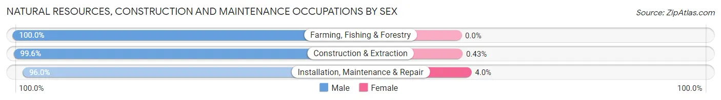 Natural Resources, Construction and Maintenance Occupations by Sex in Downey