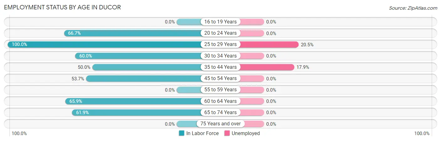 Employment Status by Age in Ducor