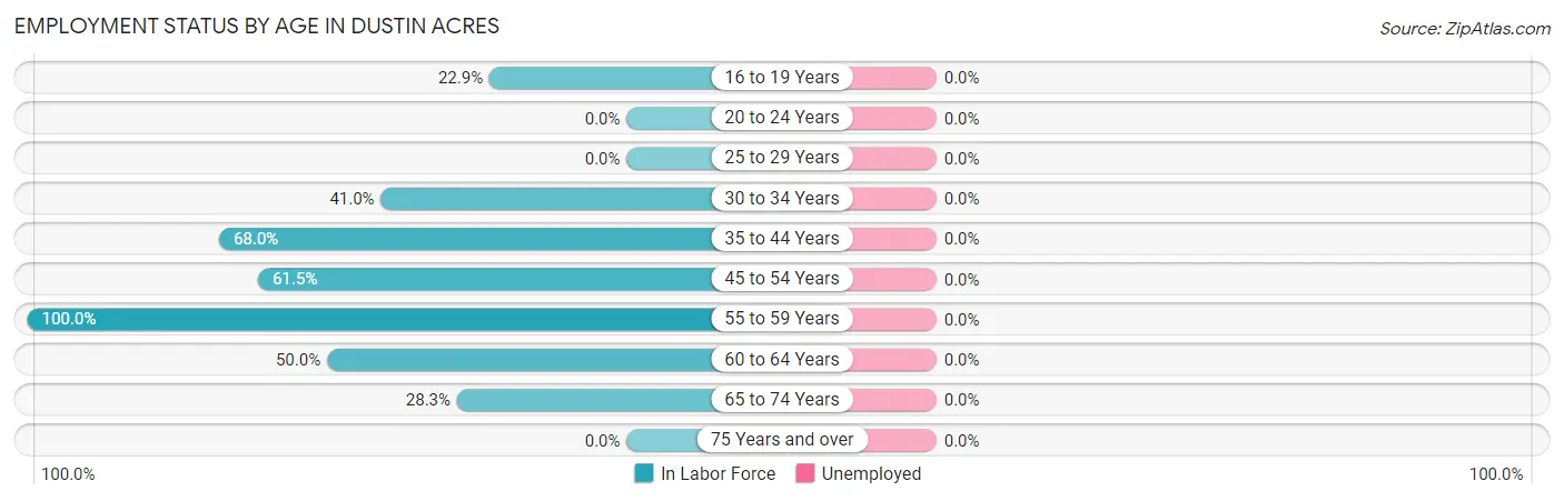 Employment Status by Age in Dustin Acres