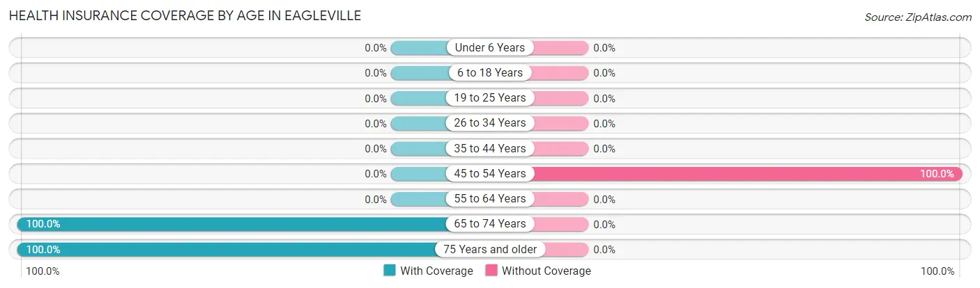 Health Insurance Coverage by Age in Eagleville