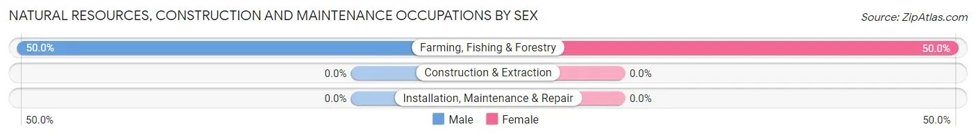 Natural Resources, Construction and Maintenance Occupations by Sex in East Orosi
