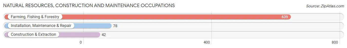 Natural Resources, Construction and Maintenance Occupations in East Porterville