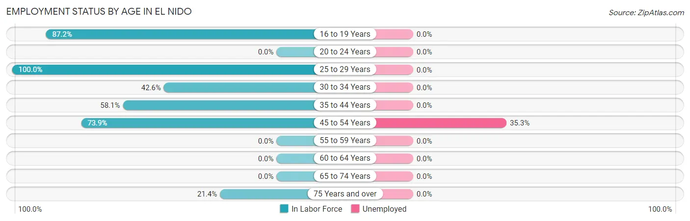 Employment Status by Age in El Nido