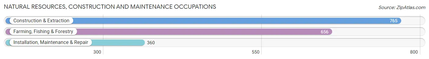 Natural Resources, Construction and Maintenance Occupations in El Paso de Robles Paso Robles