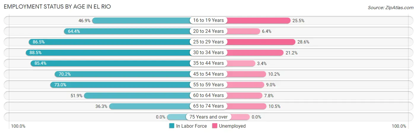 Employment Status by Age in El Rio