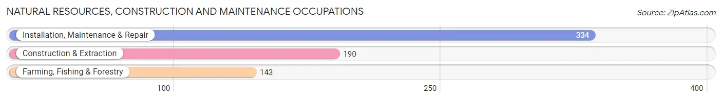 Natural Resources, Construction and Maintenance Occupations in El Rio