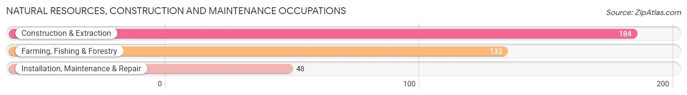 Natural Resources, Construction and Maintenance Occupations in Empire