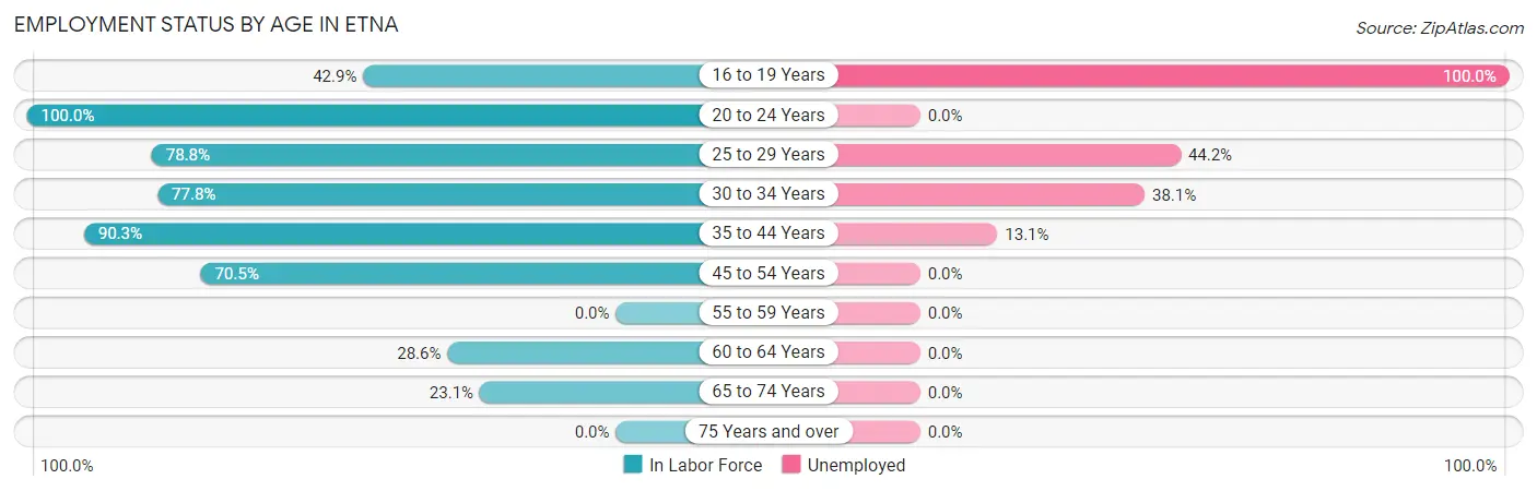 Employment Status by Age in Etna