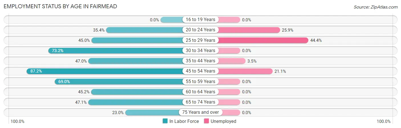 Employment Status by Age in Fairmead