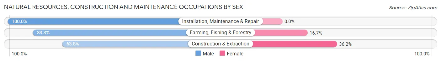 Natural Resources, Construction and Maintenance Occupations by Sex in Fairmead