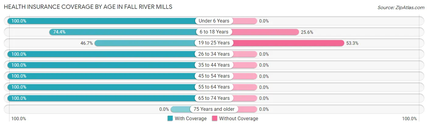 Health Insurance Coverage by Age in Fall River Mills