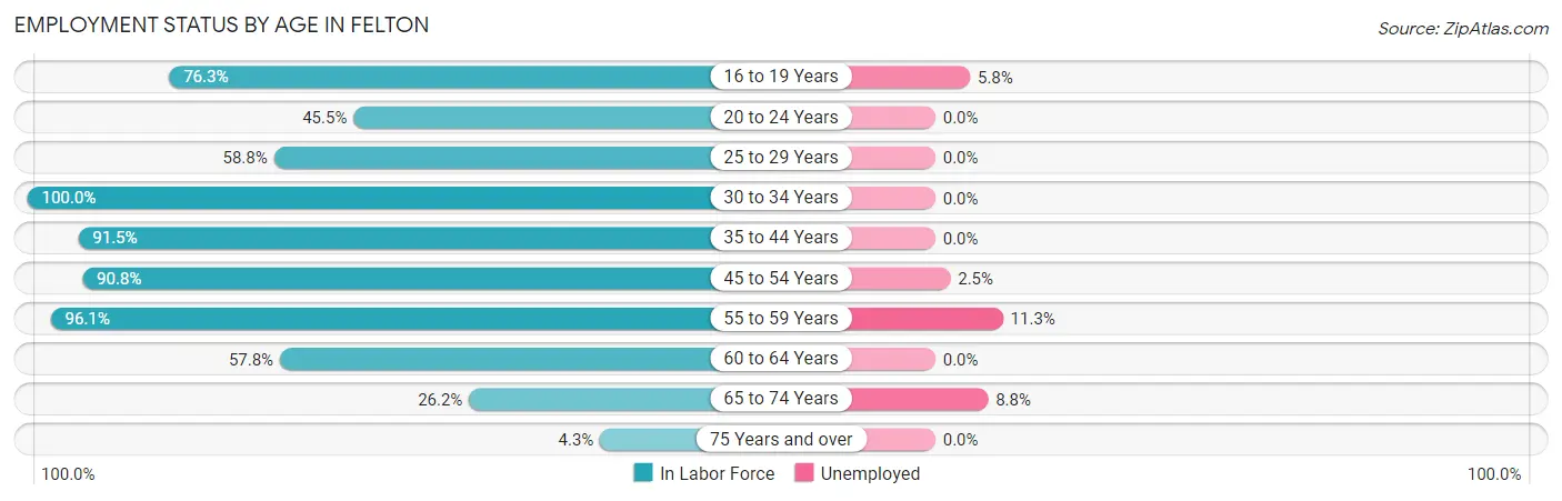 Employment Status by Age in Felton