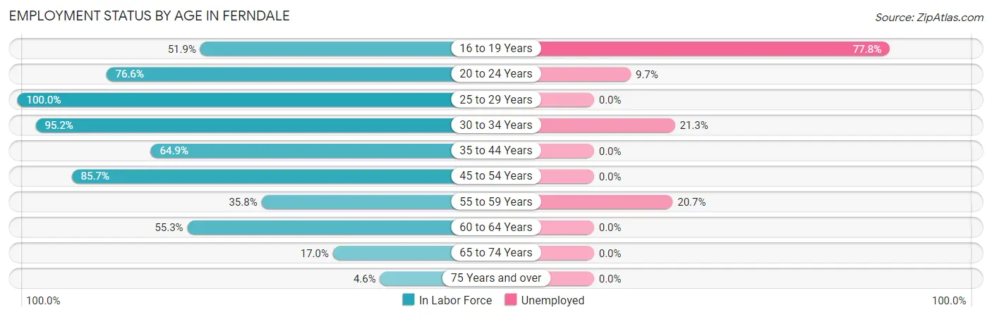 Employment Status by Age in Ferndale