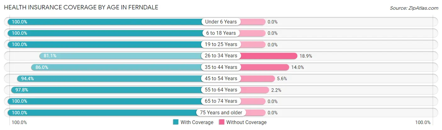 Health Insurance Coverage by Age in Ferndale