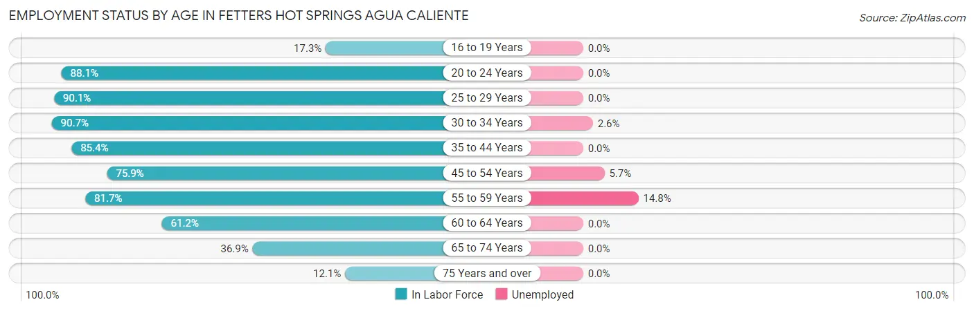 Employment Status by Age in Fetters Hot Springs Agua Caliente