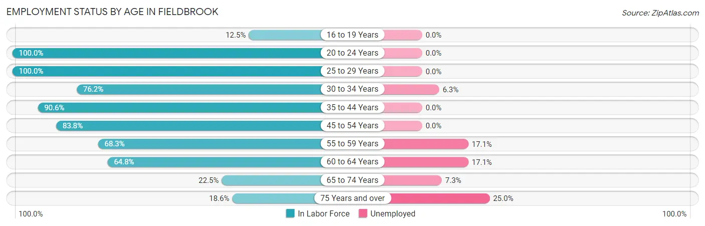 Employment Status by Age in Fieldbrook