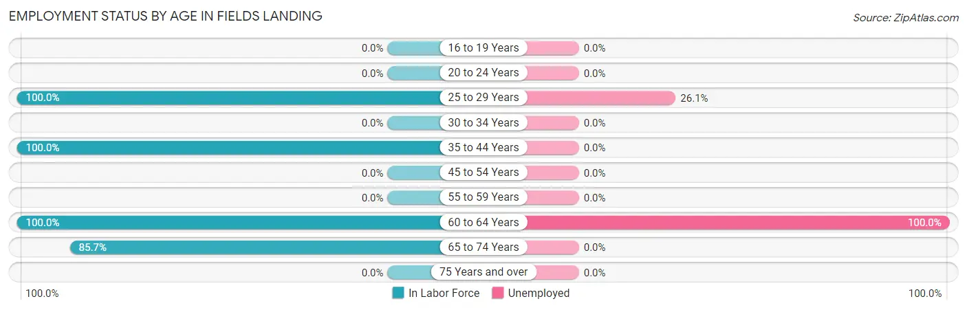 Employment Status by Age in Fields Landing