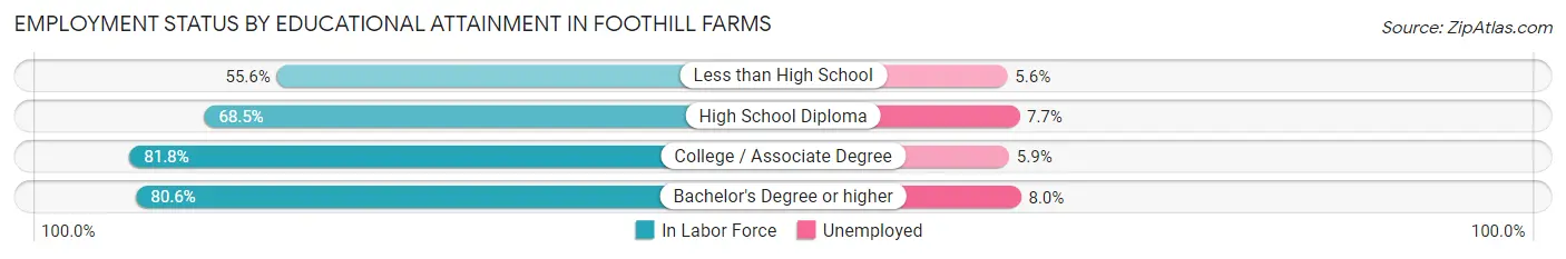 Employment Status by Educational Attainment in Foothill Farms