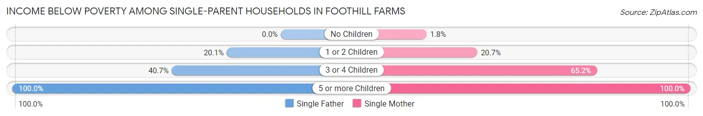 Income Below Poverty Among Single-Parent Households in Foothill Farms