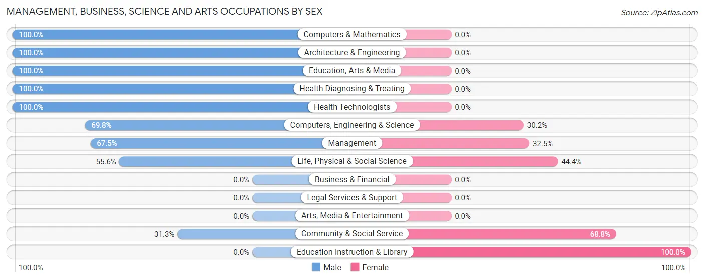 Management, Business, Science and Arts Occupations by Sex in Ford City