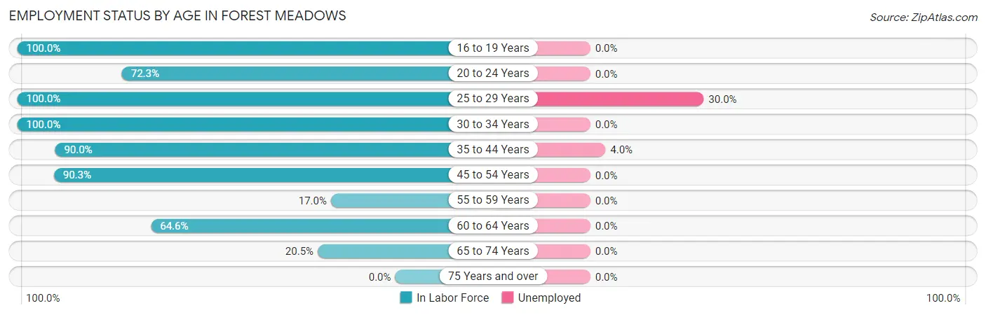 Employment Status by Age in Forest Meadows