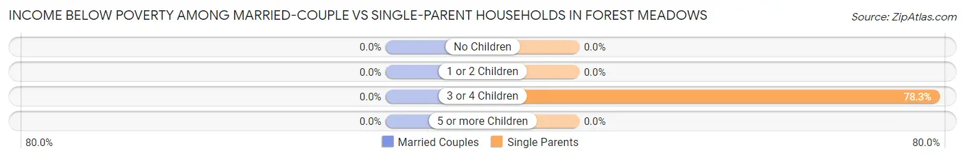 Income Below Poverty Among Married-Couple vs Single-Parent Households in Forest Meadows