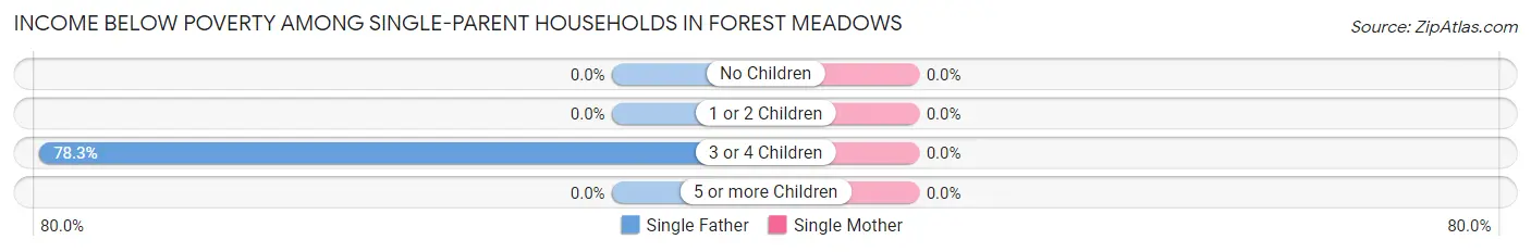 Income Below Poverty Among Single-Parent Households in Forest Meadows