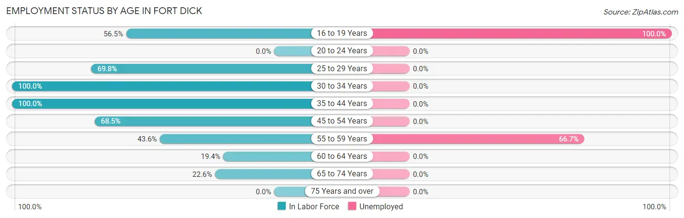 Employment Status by Age in Fort Dick