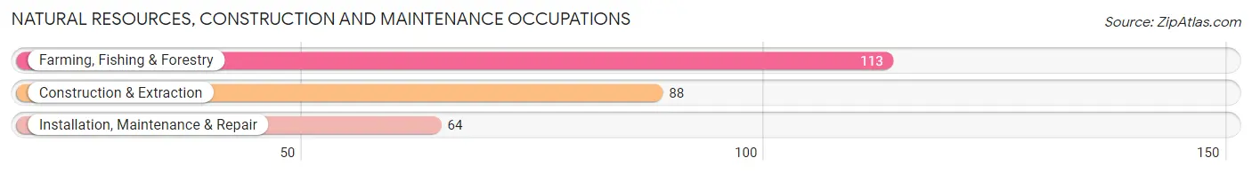 Natural Resources, Construction and Maintenance Occupations in Franklin CDP Merced County