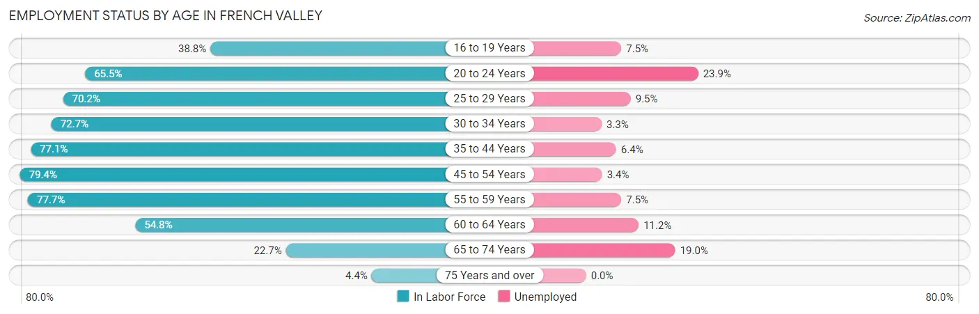 Employment Status by Age in French Valley