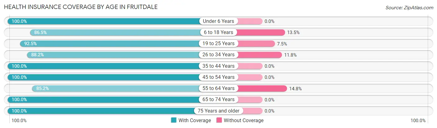 Health Insurance Coverage by Age in Fruitdale