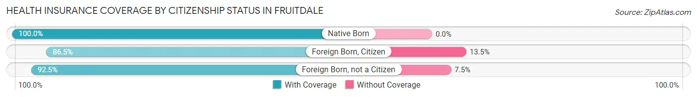 Health Insurance Coverage by Citizenship Status in Fruitdale
