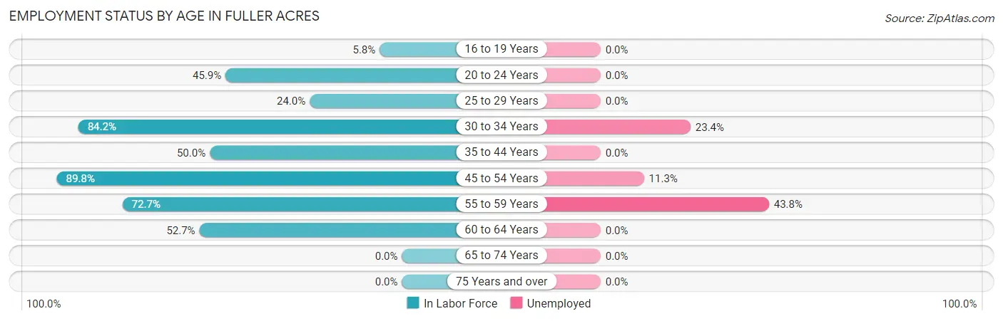 Employment Status by Age in Fuller Acres