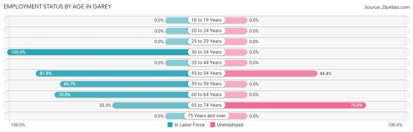 Employment Status by Age in Garey