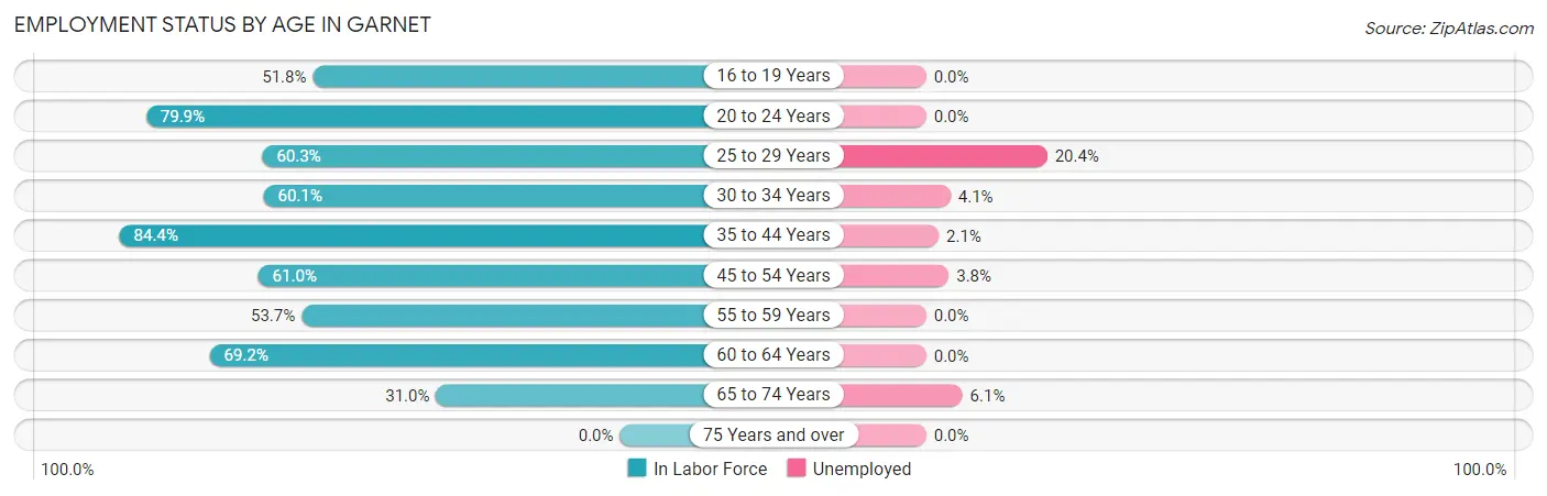 Employment Status by Age in Garnet