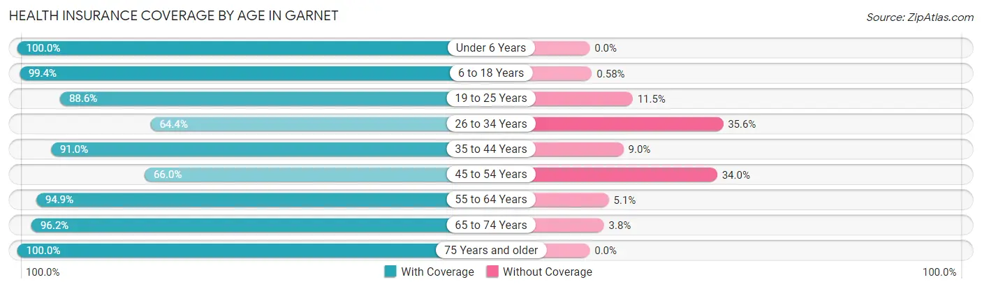 Health Insurance Coverage by Age in Garnet