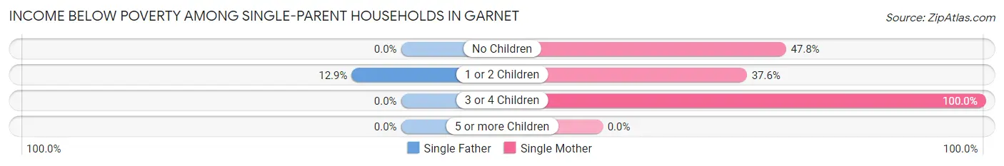 Income Below Poverty Among Single-Parent Households in Garnet