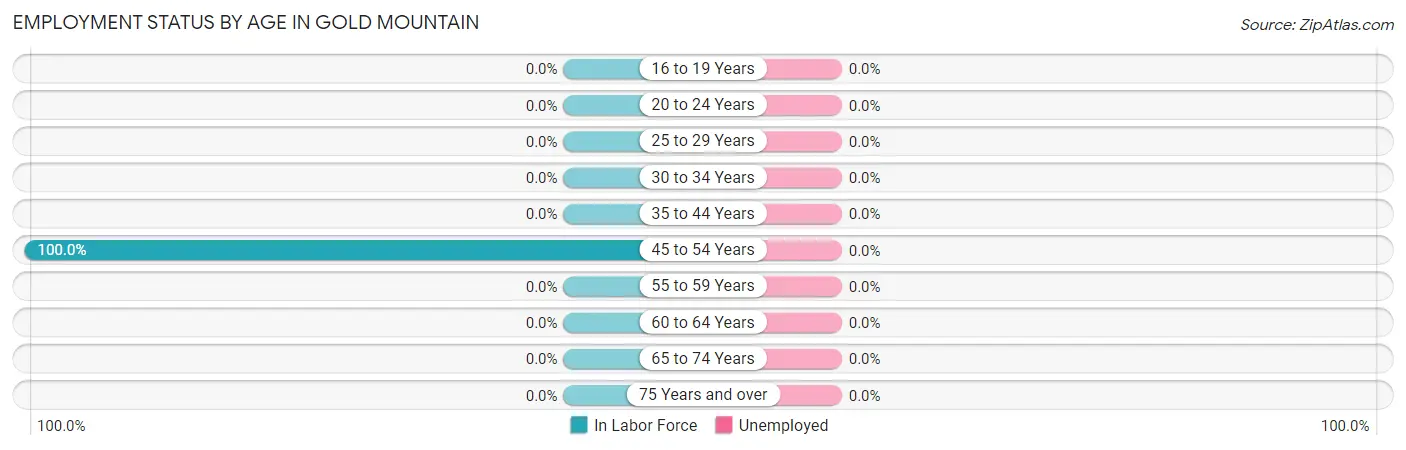 Employment Status by Age in Gold Mountain