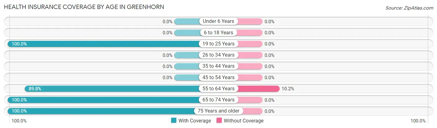 Health Insurance Coverage by Age in Greenhorn